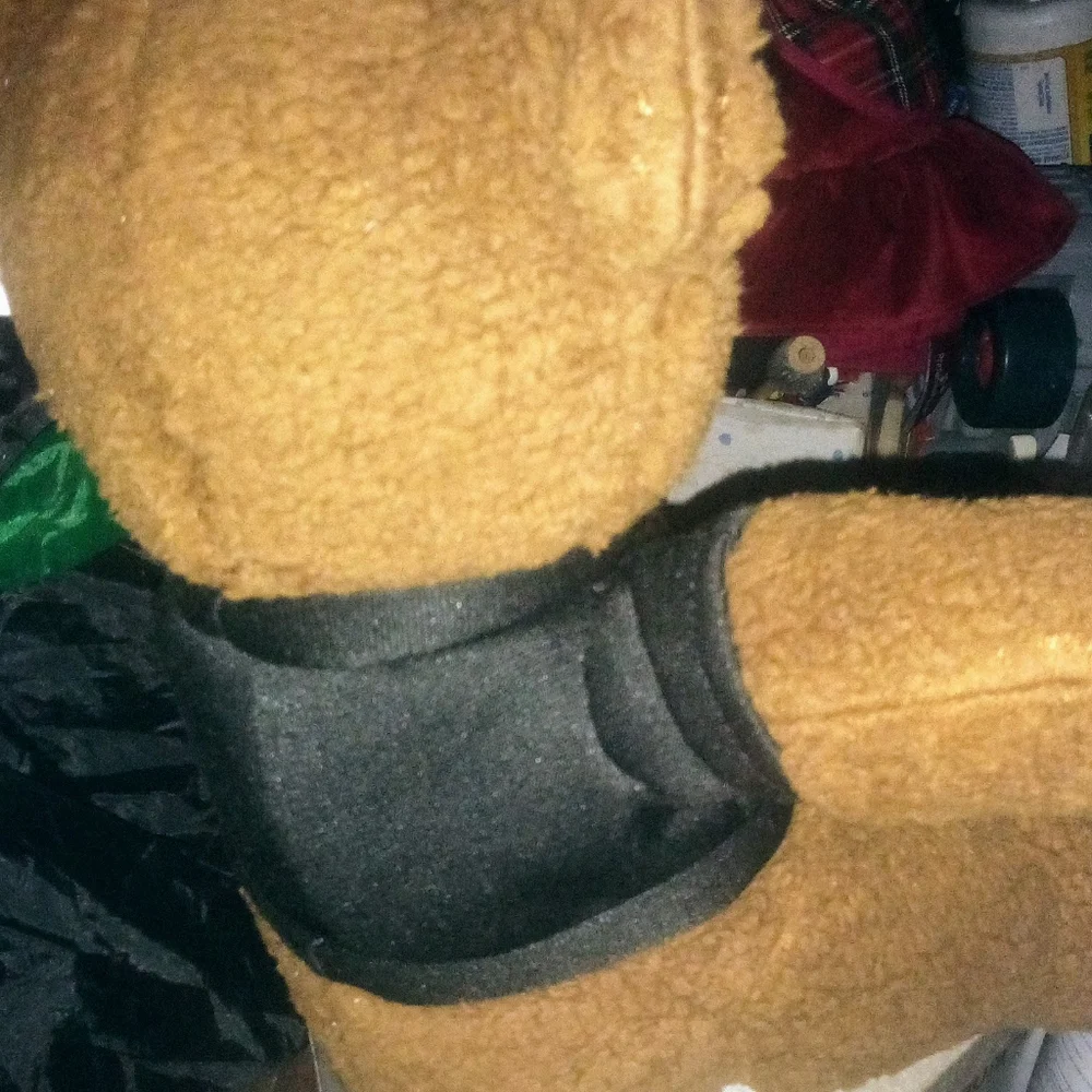 Bye Bye interactive Bear